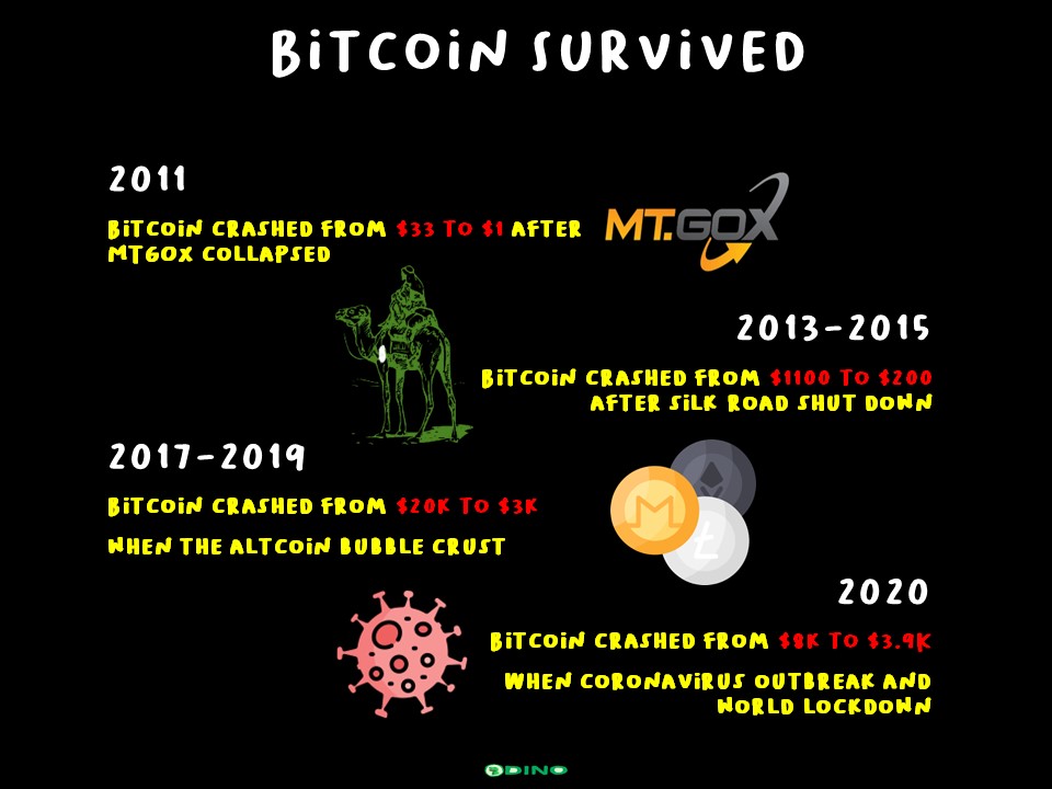 Bitcoin Survived